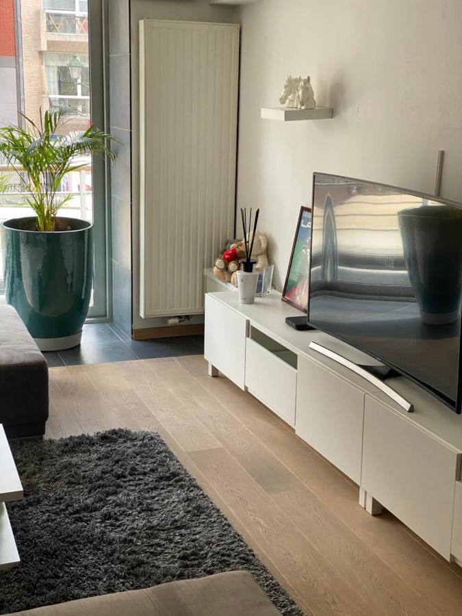 Knokke Summertime Luaran gambar